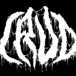 logo Crud (USA-2)
